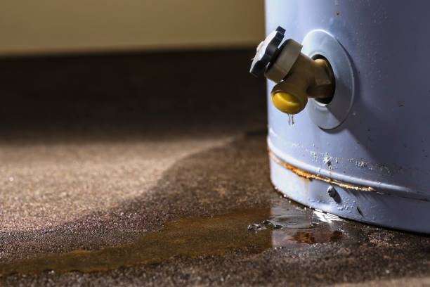 Best Carpet water damage restoration  in Appalachia, VA