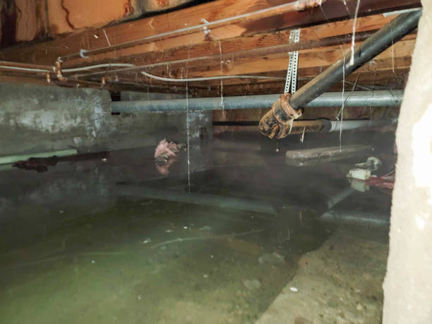 Best Sewage cleanup and water damage restoration  in Appalachia, VA