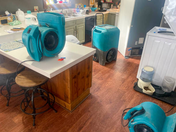 Best Basement water damage restoration  in Appalachia, VA