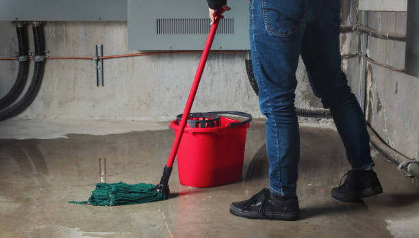Best Water damage contractors near me  in Appalachia, VA
