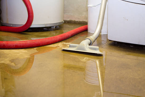 Best Water damage restoration near me  in Appalachia, VA
