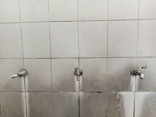 24/7 water damage repair in VA