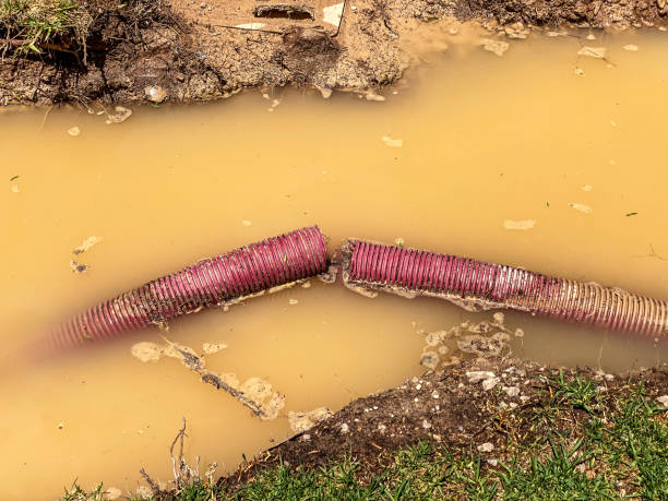 Best Water damage restoration near me  in Appalachia, VA